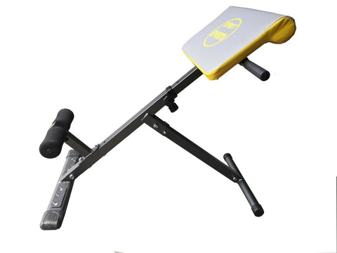 Back Extension Bench Gym Fitness Training