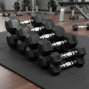 Dumbbells Rubber Encased Weights Sets, Hexagonal Dumbbell Gym Pairs