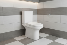 Leigh Rimless Close Coupled Toilet with Soft Close Seat - Short Projection