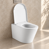 Rimless Back to Wall Toilet with Soft Close Seat & Dual Flush Concealed Cistern