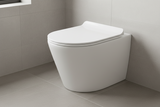Back To Wall Rimless BTW Toilet Pan Soft Close Seat