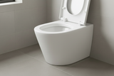 Back To Wall Rimless BTW Toilet Pan Soft Close Seat