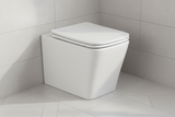 Back To Wall Rimless BTW Toilet Pan Soft Close Seat
