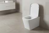 Back To Wall Rimless BTW Toilet Pan Soft Close Seat